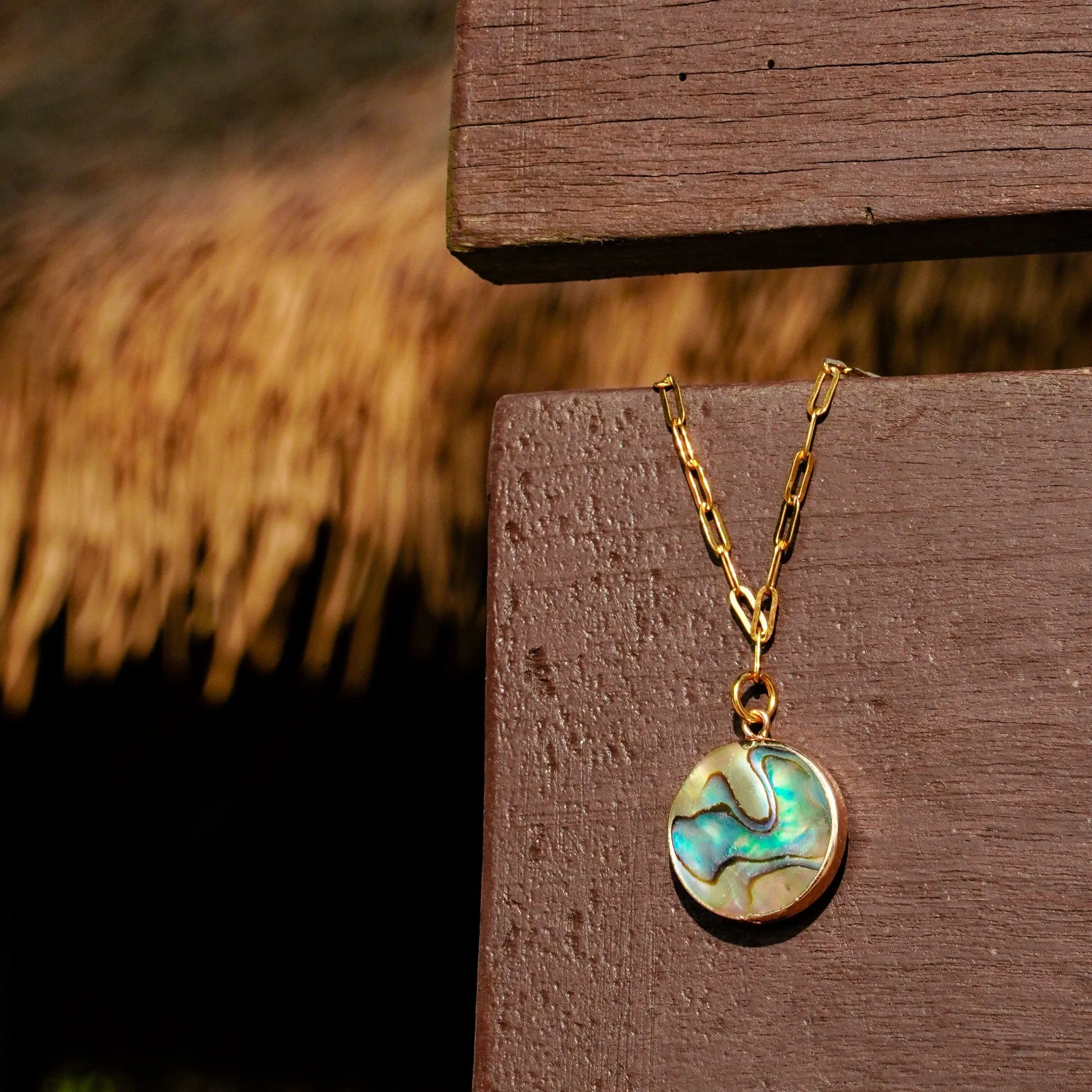 Abalone Necklace