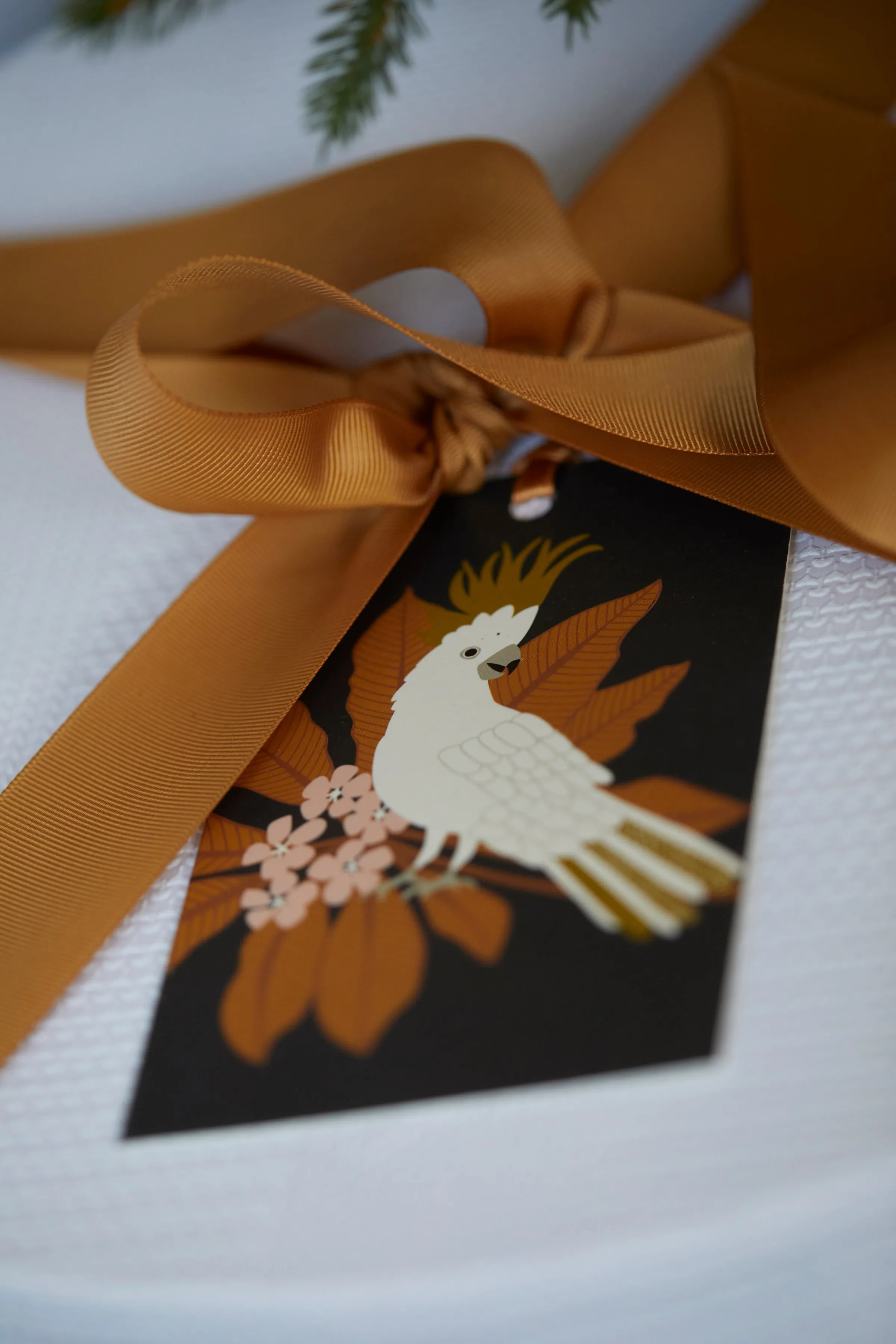 Artist Gift Tags 10Pk Cockatoo