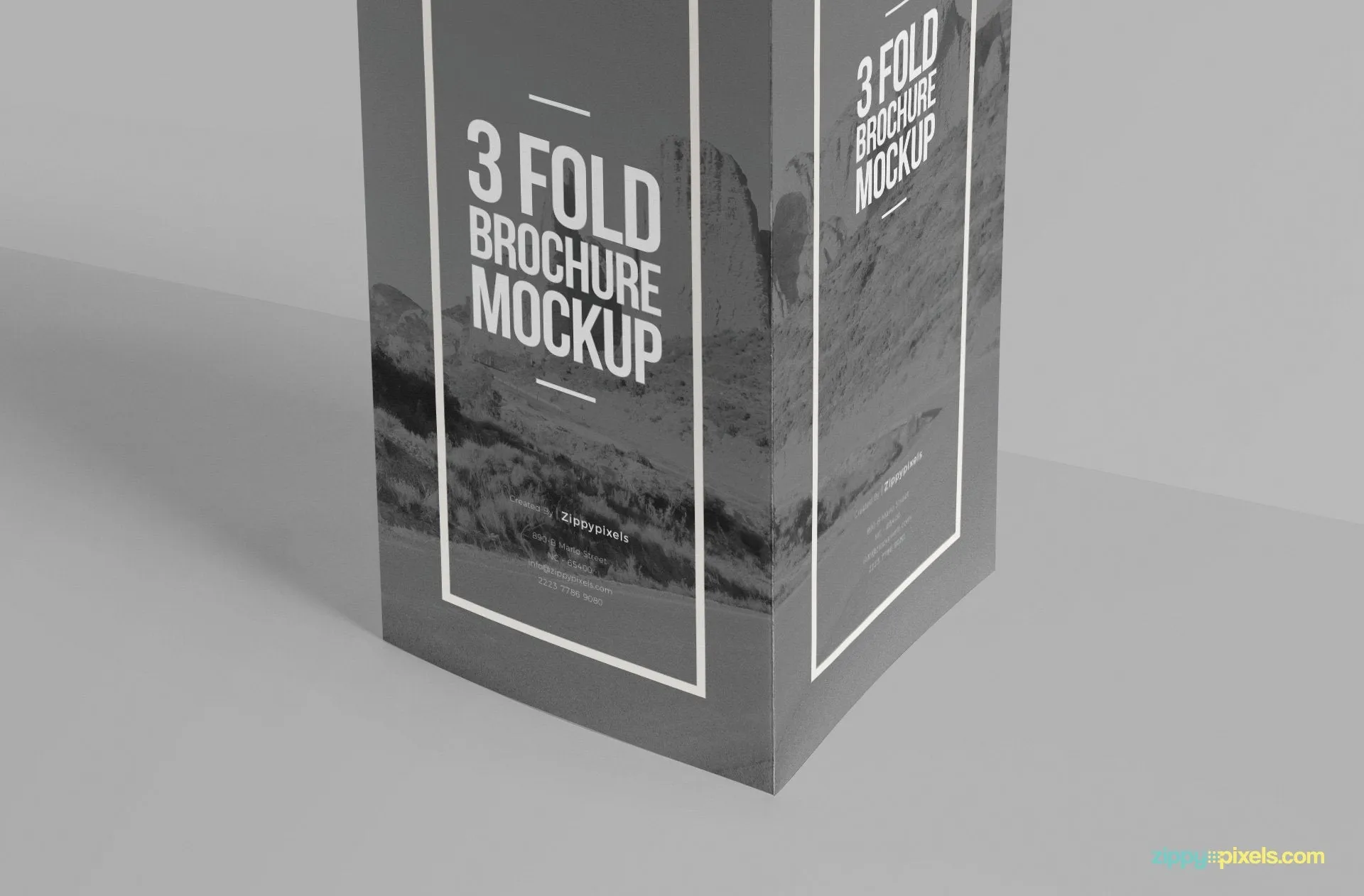 Free Elegant Tri Fold Brochure Mockup