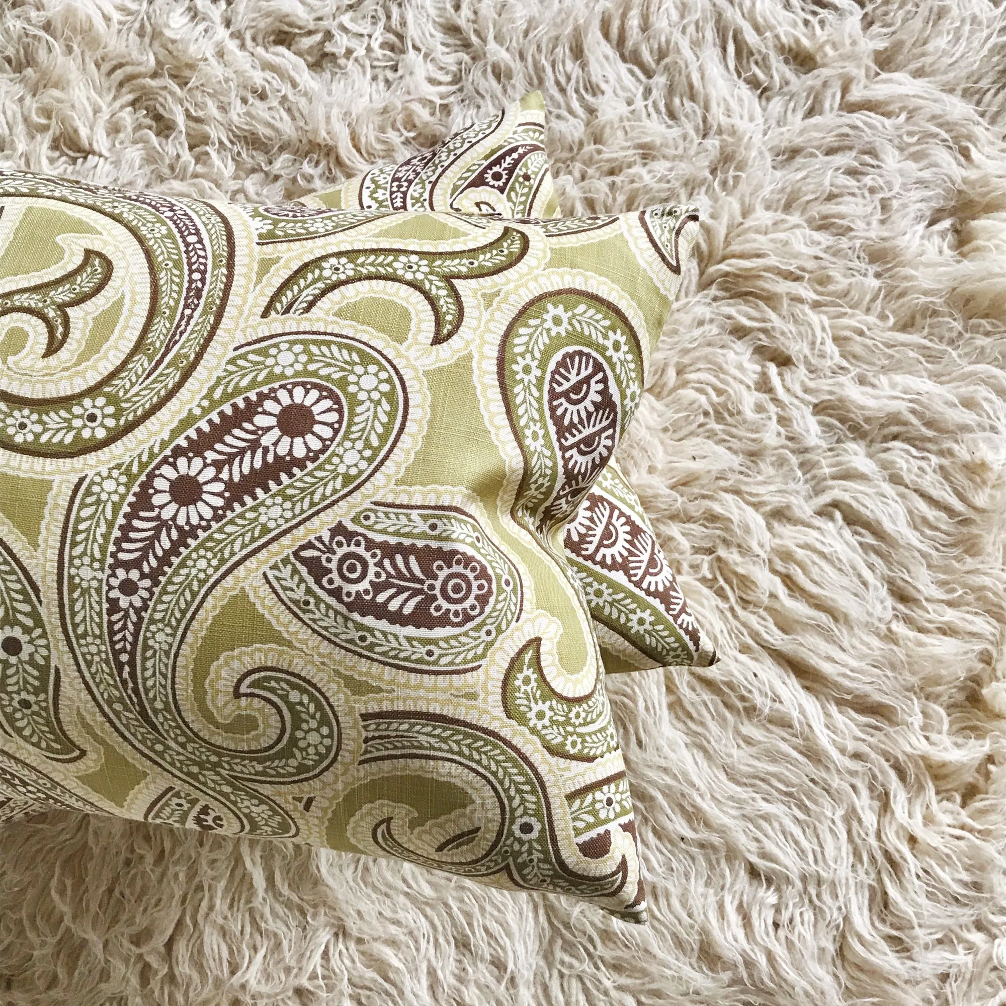 Green Citrus Modern Paisley Lumbar Pillow Cover 15x26