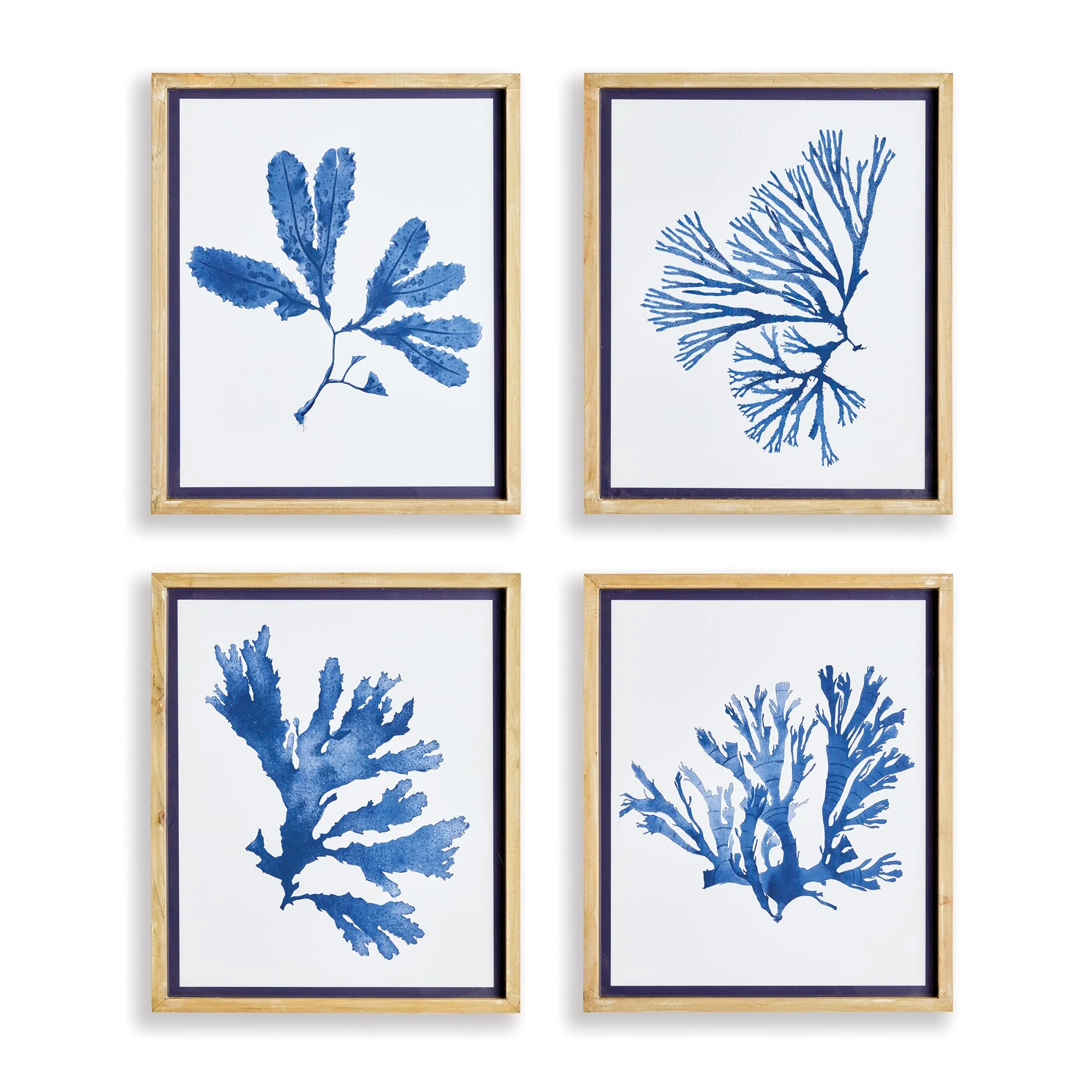 INDIGO SEAWEED PRINTS, SET OF 4 BY NAPA HOME & GARDEN