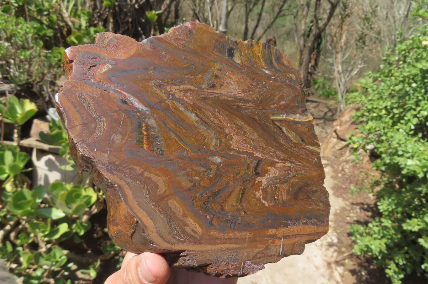 Polished Banded Tiger Iron Jasper Slab x 1 From South Africa