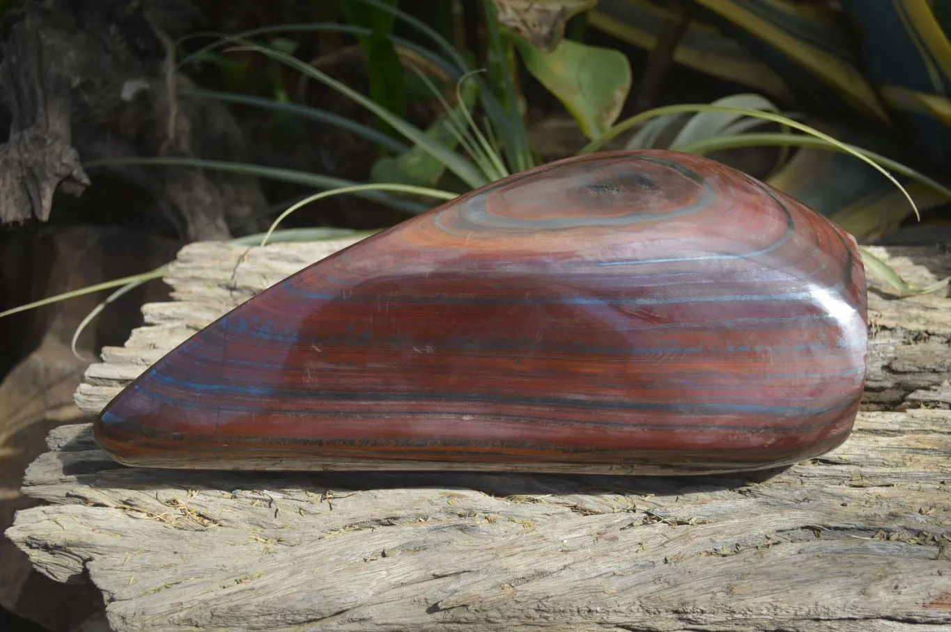 Polished Banded Tiger Iron Jasper Standing Free Form x 1 From Prieska, Northern Cape