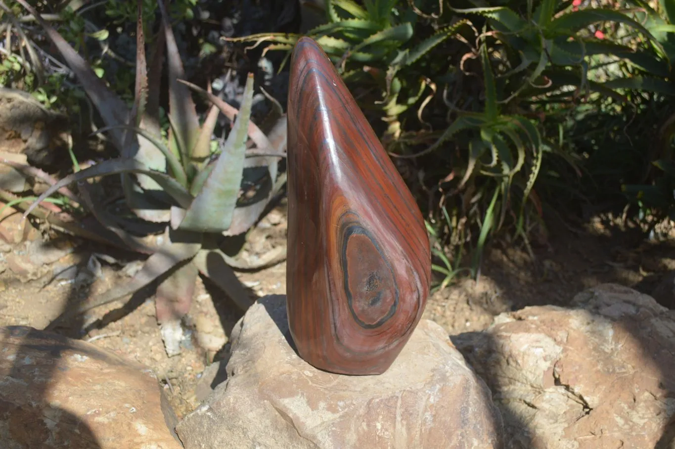 Polished Banded Tiger Iron Jasper Standing Free Form x 1 From Prieska, Northern Cape