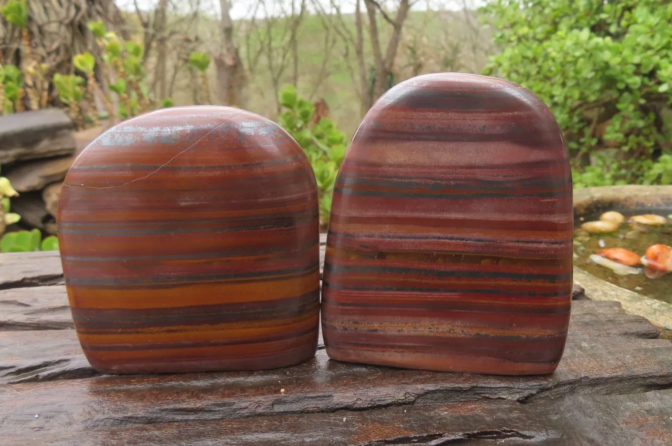 Polished Tiger Iron Jasper Standing Free Forms x 3 From South Africa