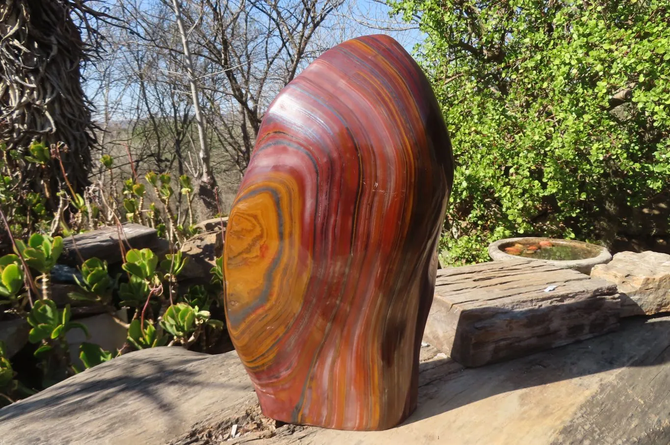 Polished XXL Banded Tiger Iron Jasper Display Piece x 1 From South Africa