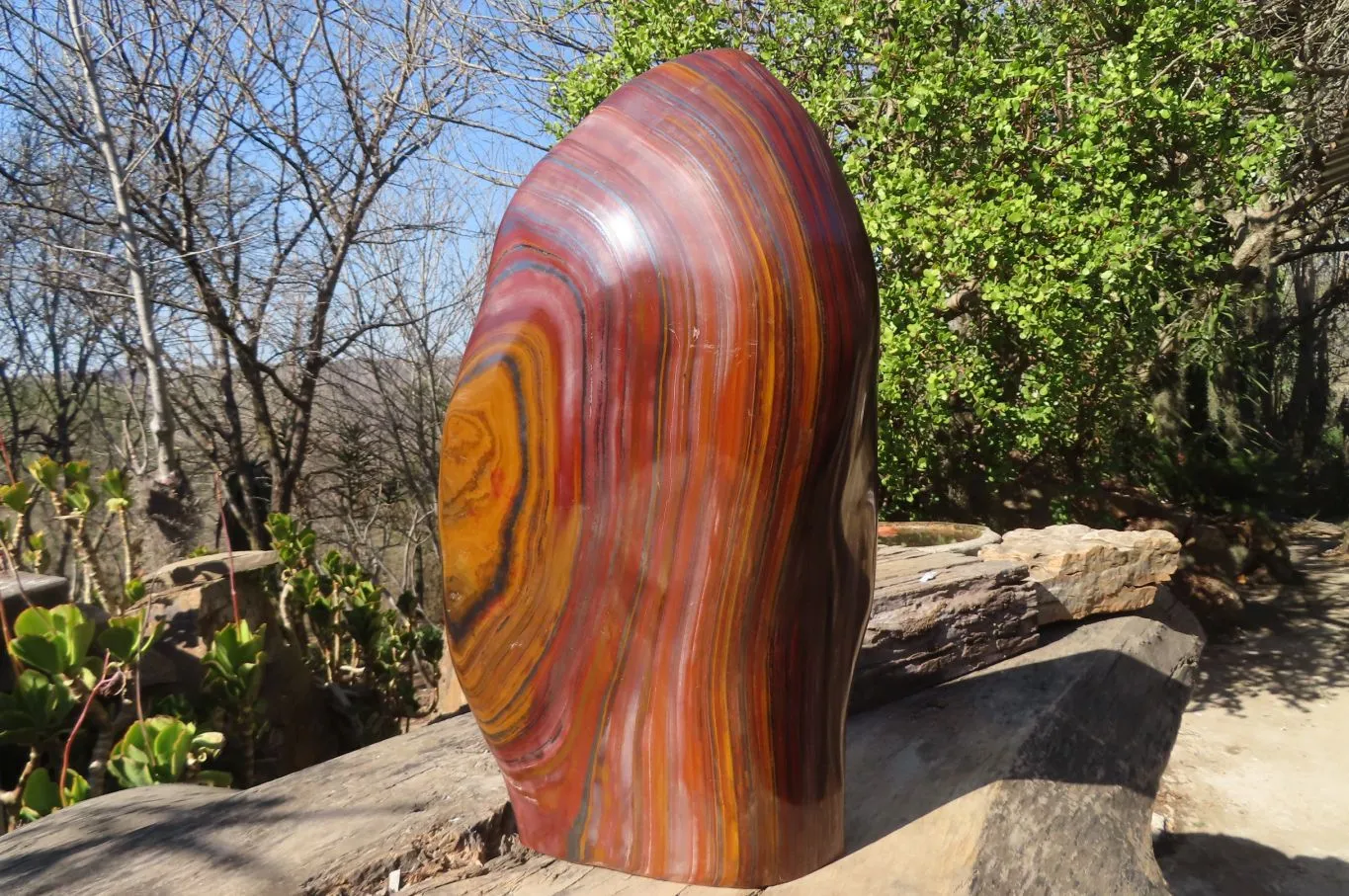 Polished XXL Banded Tiger Iron Jasper Display Piece x 1 From South Africa