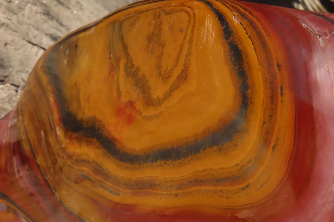 Polished XXL Banded Tiger Iron Jasper Display Piece x 1 From South Africa