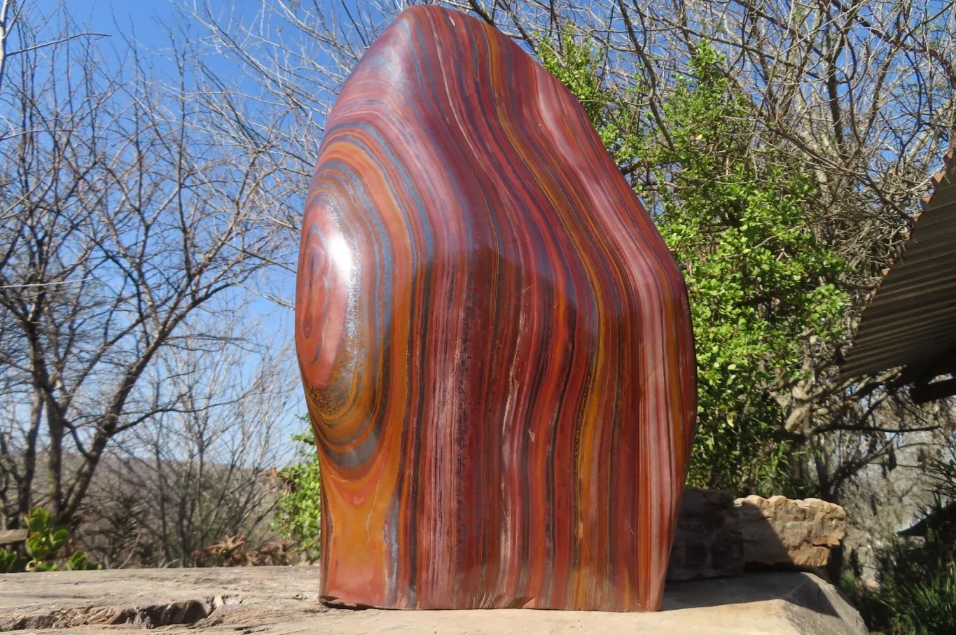 Polished XXL Banded Tiger Iron Jasper Display Piece x 1 From South Africa