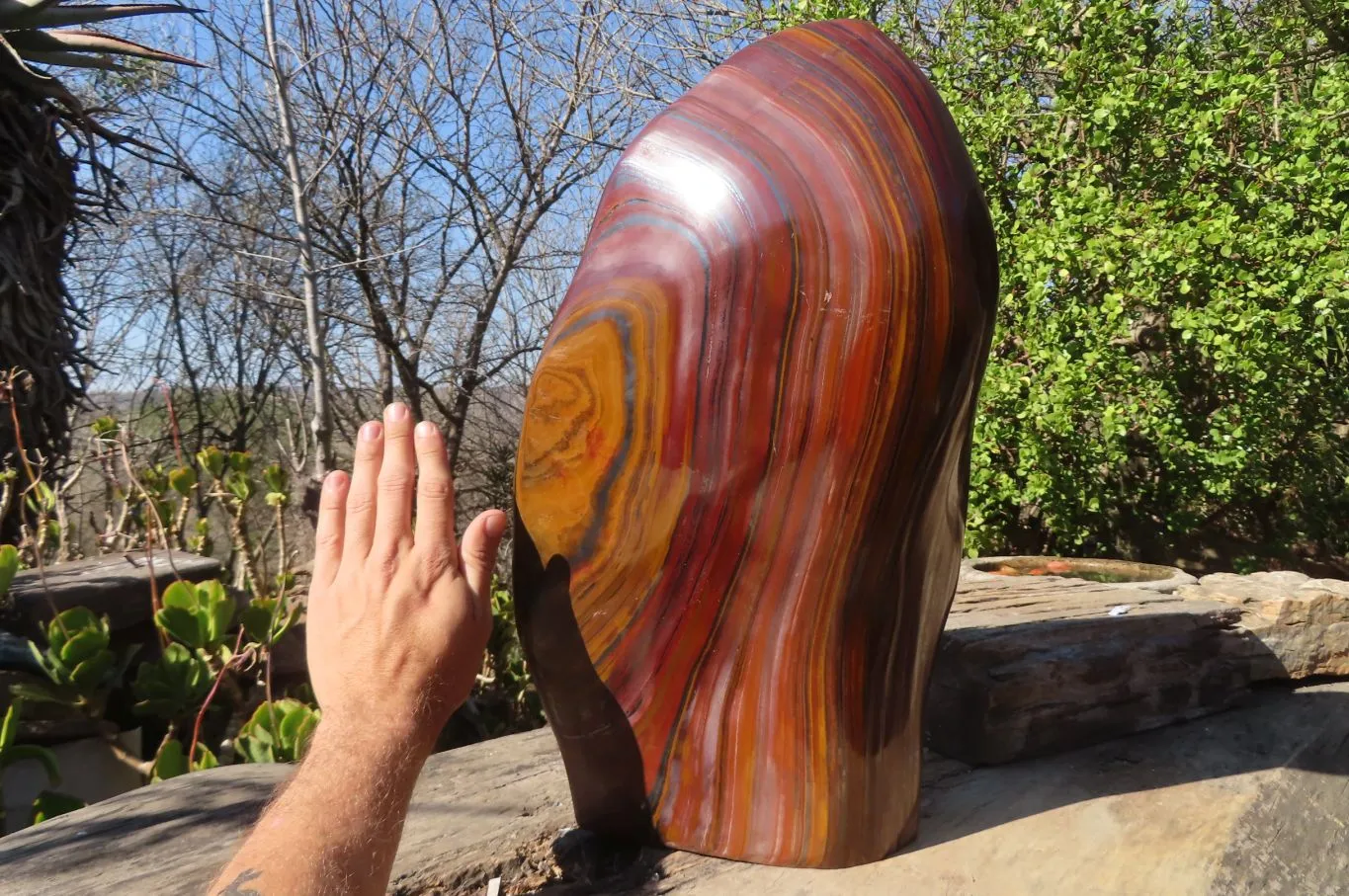 Polished XXL Banded Tiger Iron Jasper Display Piece x 1 From South Africa