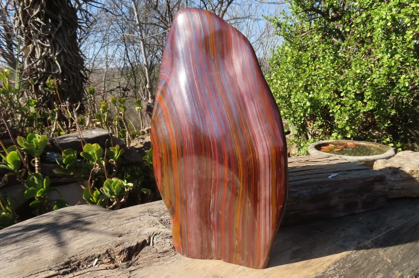 Polished XXL Banded Tiger Iron Jasper Display Piece x 1 From South Africa