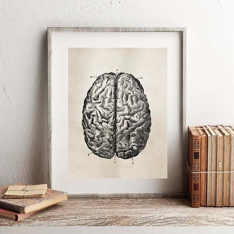 Vintage Human Anatomy Science Wall Art